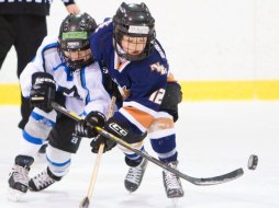 Two young hockey players battling for a puck (Jackson, 2010).